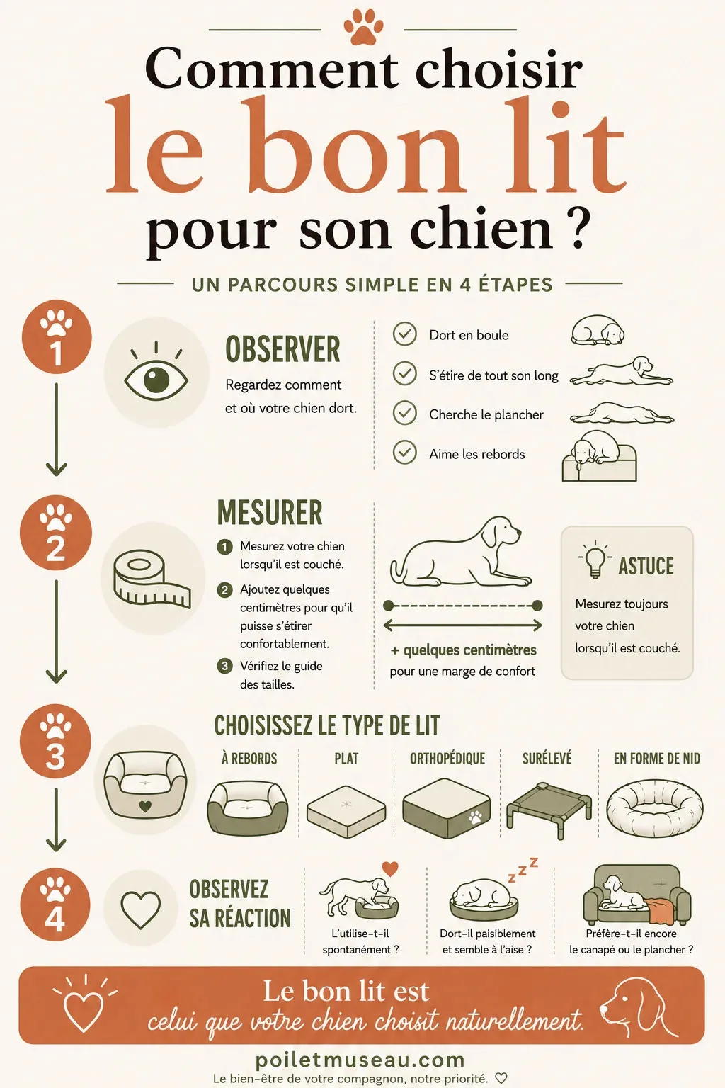Infographie présentant les quatre étapes pour choisir le bon lit pour son chien : observer ses habitudes, le mesurer, choisir le type de lit et vérifier son confort.