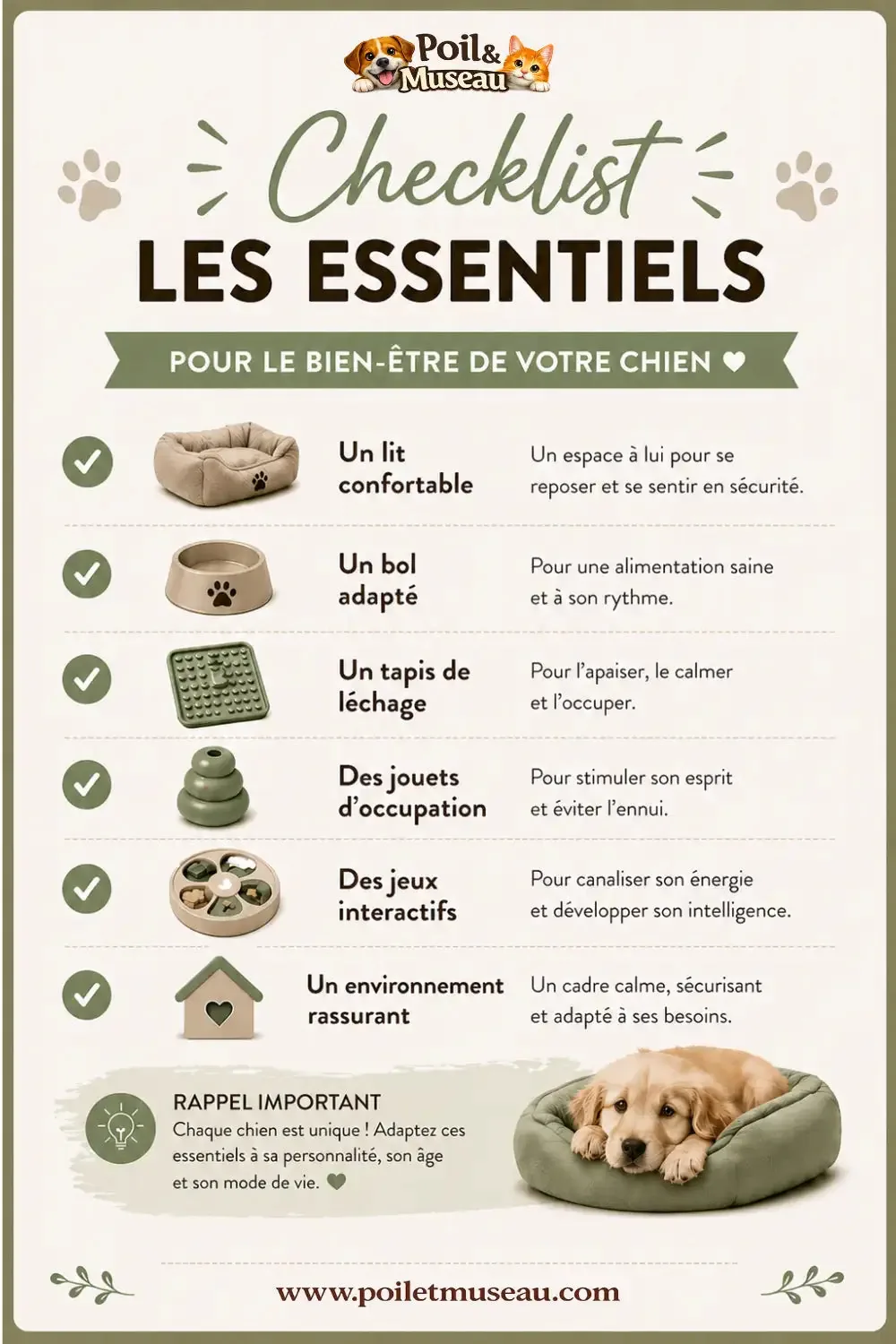 Checklist of essentials for dogs